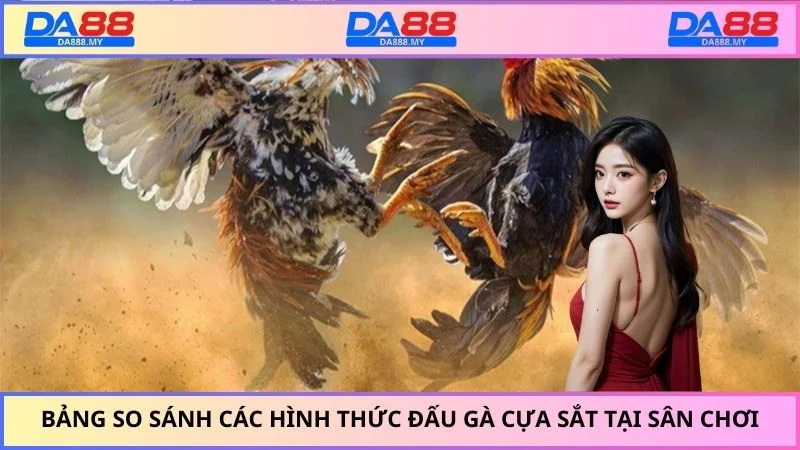 Bảng so sánh các hình thức đấu gà cựa sắt tại sân chơi