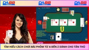 Tìm Hiểu Cách Chơi Bài Phỏm Từ A Đến Z Dành Cho Tân Thủ
