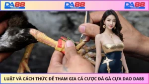 đá gà cựa dao