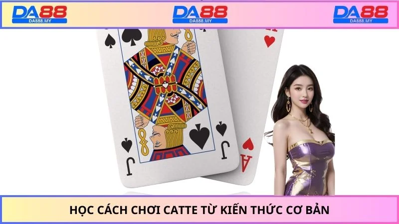 Học cách chơi catte từ kiến thức cơ bản