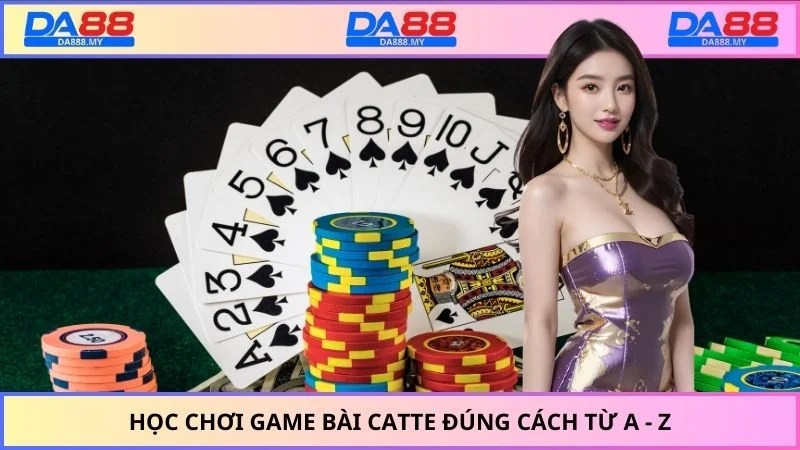 Học chơi game bài catte đúng cách từ a - z