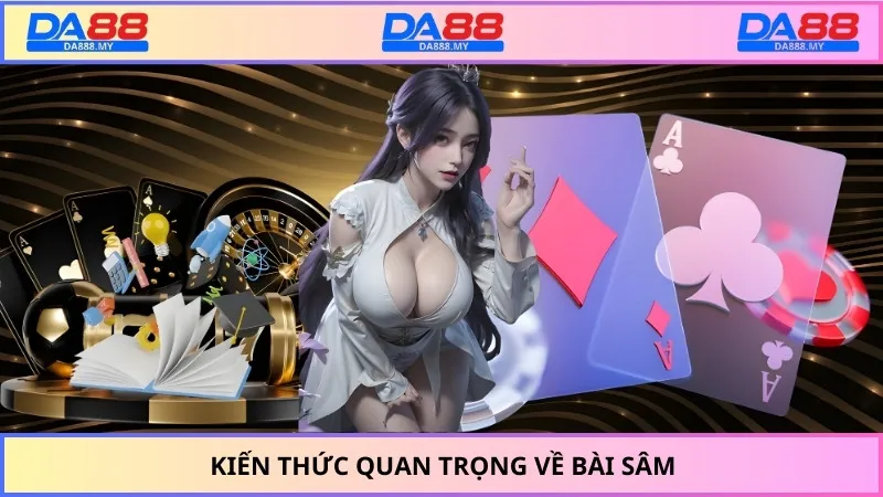 Một số kiến thức cơ bản về bài sâm