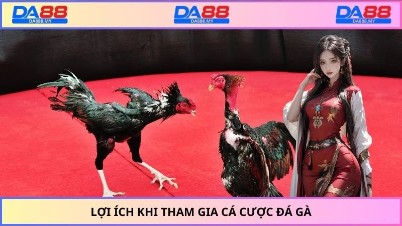 Lợi ích khi tham gia cá cược đá gà