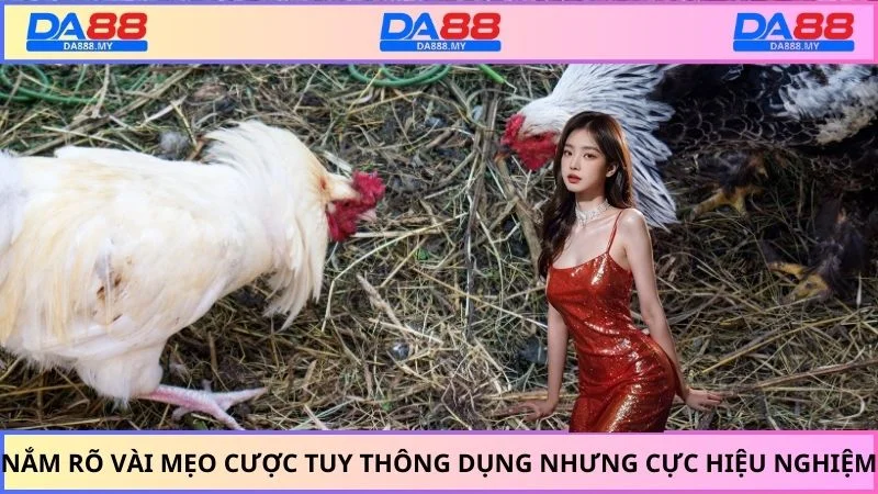 Nắm rõ vài mẹo cược tuy thông dụng nhưng cực hiệu nghiệm