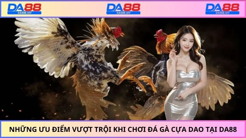 Những ưu điểm vượt trội khi chơi đá gà cựa dao tại DA88