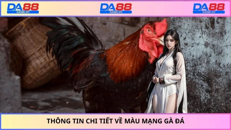 Thông tin chi tiết về màu mạng gà đá